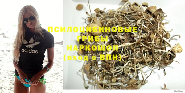 мяу мяу мука Надым