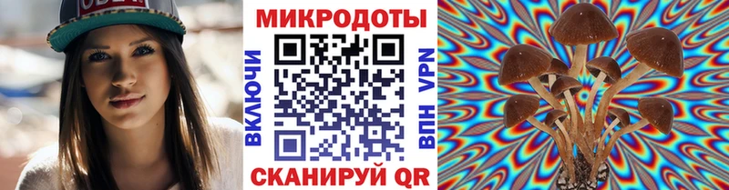 купить   Ялуторовск  Галлюциногенные грибы Magic Shrooms 